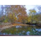 Jefferson Hills: Peters Creek in autumn