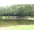 Monroe: Forsythe Park