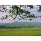 Townsend: Cades Cove Loop-filled with scenic beauty surrounding every turn.