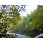 Townsend: Curvy road in Townsend, Tn.