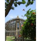 Arlington: The first and tallest hill on Titan, this 6 Flags over Texas rollercoaster is 255 ft. high!