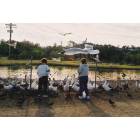Bonita: Feeding Birds - Bonita Golf Course