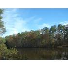 Fuquay-Varina: Picture taken at a lake in Fuquay-Varina, North Carolina