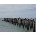 Naples: Naples Beach