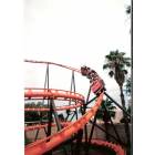 Orlando: : Roller coaster ride at Disney, Orlando florida taken on vacation