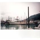 Seward: Seward Marina....fishing boats (taken in July) while on vacation
