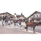 Helen: Horse and buggy