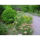 Townsend: Floral walkway at the Lily Barn in Townsend