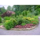 Townsend: Cantilever barn and lily garden in Townsend