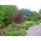 Townsend: Townsend...peaceful retreat