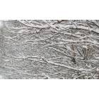 Fargo: Snowy Branches