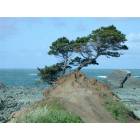 Crescent City: Lone Tree 4-2004