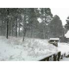 Flagstaff: : a brief snow in march