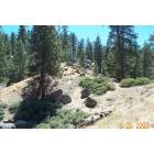 Big Bear Lake: Big Bear Terrain