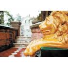 This is one of the two lion statues that guard the Koester house gates.