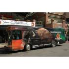 Huntington: TTA Bus-Huntington,Wv