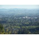 Santa Rosa: View From Fountain Grove