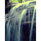 Everett: waterfall at howarth park stream