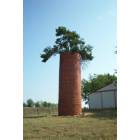 Knob Noster: Knob Noster - Mulberry Tree Growing From Silo