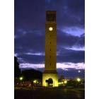College Station: The Albritton Bell Tower - This 138-foot tower contains 49 carillon bells that were cast in France with total weight of 17 tons, with largest weighing 6,500 pounds.