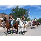 Hornbrook: SOme of the beautiful horses in the Annual Hornbrook 4th of July Parade