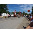 Hornbrook: More beautiful horses in the Annual Hornbrook 4th of July Parade