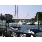 Hilton Head Island: Shelter Cove Marina - Hilton Head Island