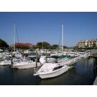 Hilton Head Island: Shelter Cove Marina - Hilton Head Island