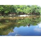 Round Rock: Brushy Creek in Round Rock Memorial Park