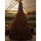 Dallas: : The Galleria Mall - Christmas 2005