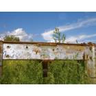 Portales: Delbert Brown's Farm