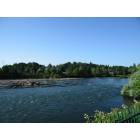 Springfield: Willamette River at Springfield OR