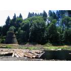 Corvallis: Wigwam burner & log pond near Corvallis OR