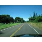 Junction City: Hwy 99,Junction City OR