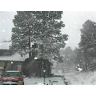 Flagstaff: : Winter March 2006 snowstorm in Flagstaff