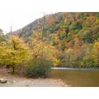 Erwin: Fall colors by the Nolichucky River
