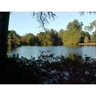 Sumter: Swan Lake October 2005 Sumter South Carolina