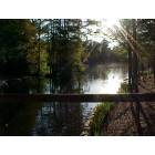 Sumter: Swan Lake in the afternoon October 2005 Sumter South Carolina