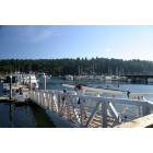Gig Harbor: : Off to the Races