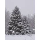 Thompsonville: Winter Snow in Thompsonville!