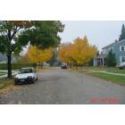 Fond du Lac: Fall colors on Maple Avenue