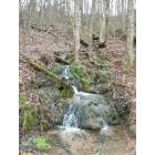Kingsport: Kingsport's Greenbelt walking path