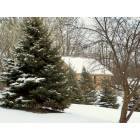 Galena: Galena in winter