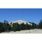 Florence: Dune at Honeyman ST Park....