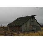 Hines: Barn.....