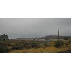 Hines: Hines 57.....varieties of sagebrush....