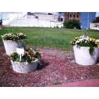 Saginaw: : Flowers help to spruce up downtown.