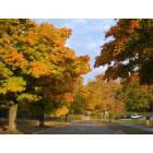 Bloomington: : autumn on campus!