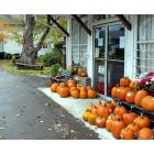 Wellsboro: Stonyfork Creek Store Wellsboro