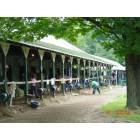 Saratoga: Back Stable at Saratoga Raceway